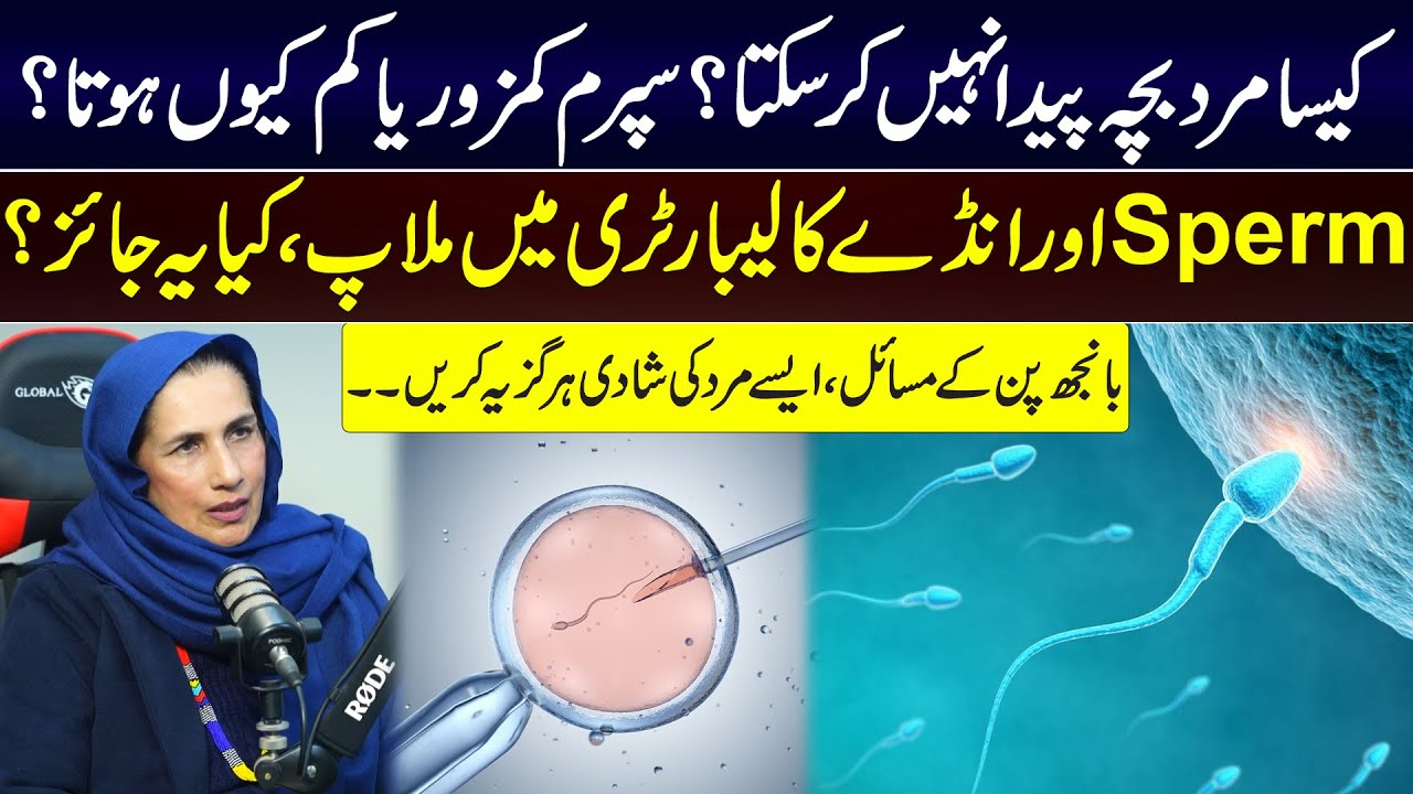 Какие мужчины не могут иметь детей? | Причины низкого или слабого количества сперматозоидов: объя...