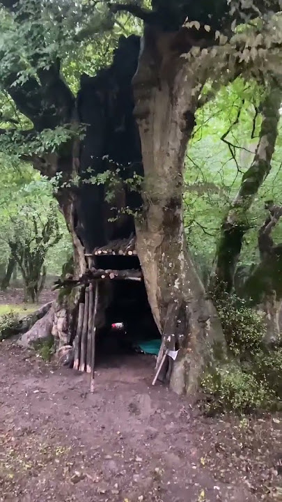 Bushcraft Camping In Heavy Rain