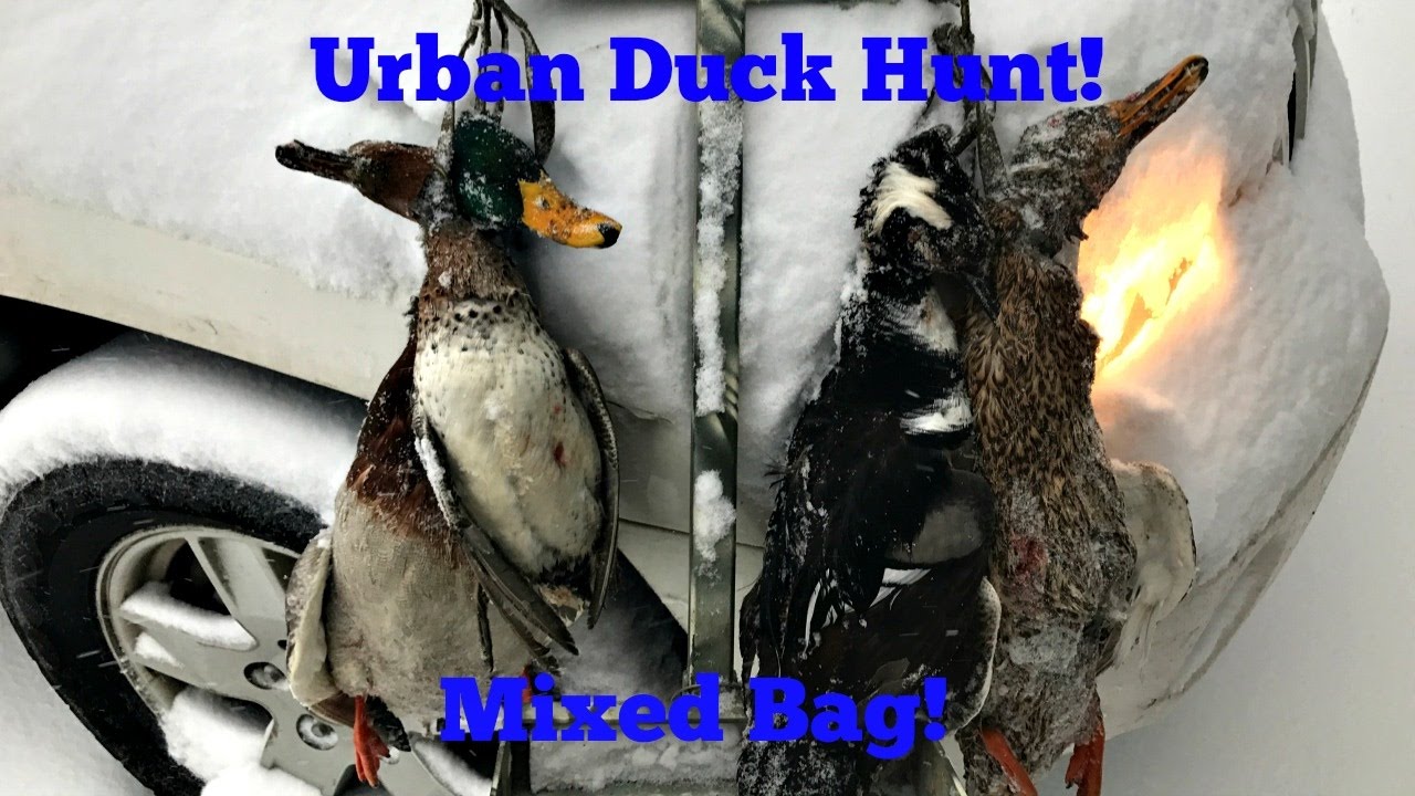 Mixed Bag! | Indiana Duck Hunt Episode 3 riverdale