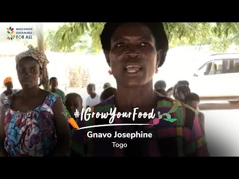 ⁣#IGrowYourFood - Meet Gnavo Josephine, a Pineapple Farmer from Togo