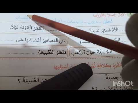 اللغة العربية المستوى الثالث ابتدائي مدرسة رائدة صفحة31 الدعم 