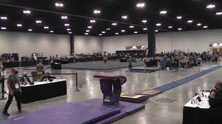 2021 USAG Level 9 Eastern Nationals Vault Routine - Hannah "Tig" Gray