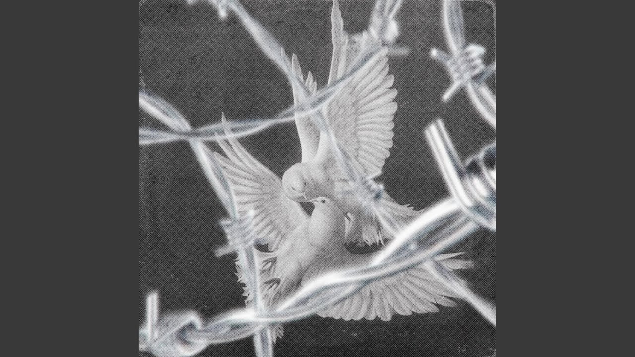 assassin (interlude) adlı videoyu YouTube'da izle assassin (interlude) adlı videoyu YouTube'da izle