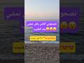 هافين مشيت باش نتشافى