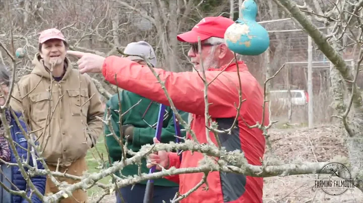 Pruning the Right Way with Jon Clements