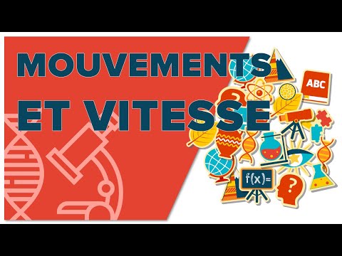 Mouvements Et Vitesse