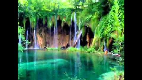 تلاوة رائعه للشيخ فارس رشدى