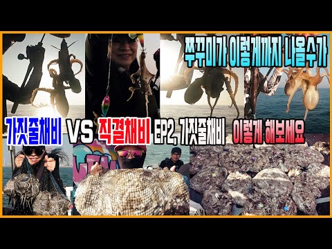 풍낚TV 쭈꾸미낚시/9월6일 이렇게까지 나온다고/직결채비와 가짓줄채비 비교 둘째날 가짓줄채비/기본 운영법과 팁/군산뉴세븐호/Webfoot octopus fishing