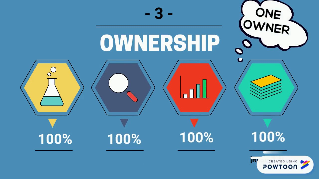 What Is Sole Proprietorship YouTube