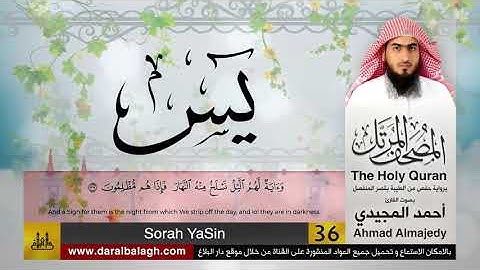 36 | سورة يس | مصحف القارئ: أحمد المجيدي Ahmad Almajedy