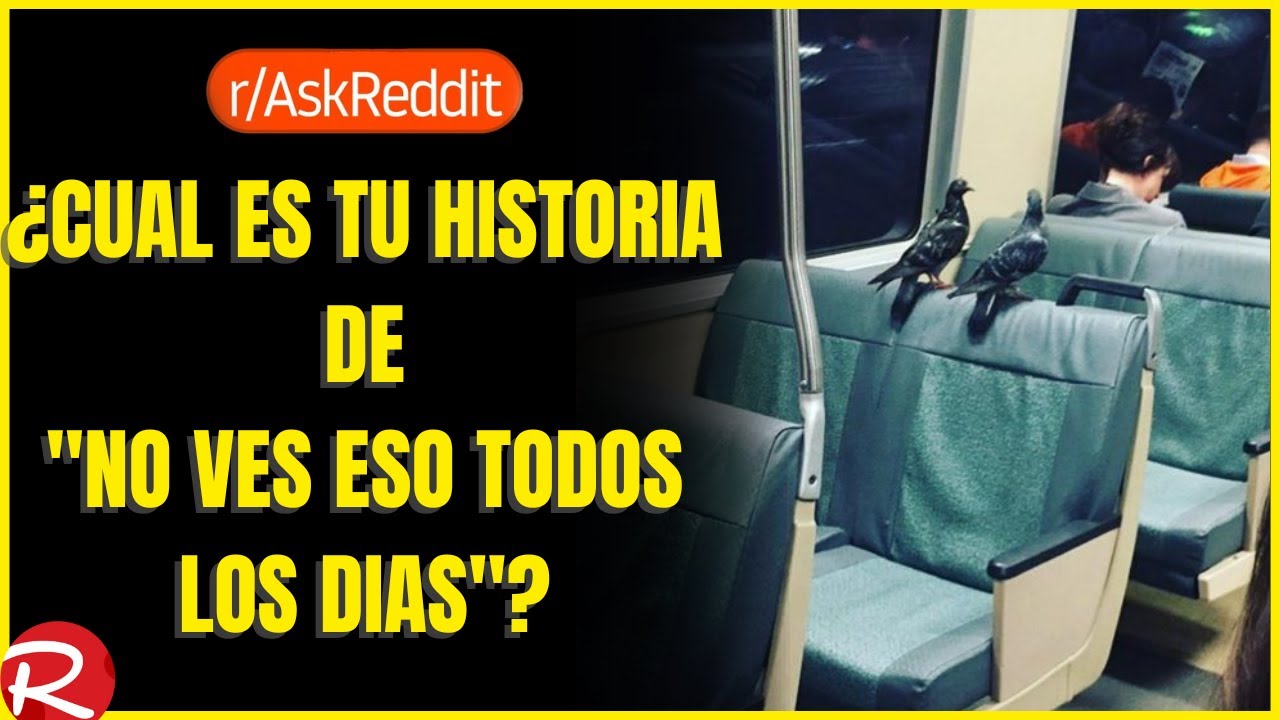 ¿Cuál es tu historia de no ves eso todos los días? Reddit español, posts de Reddit.