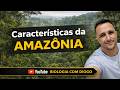 🌿 Características da Amazônia | Ecologia • Aula 33 🌎