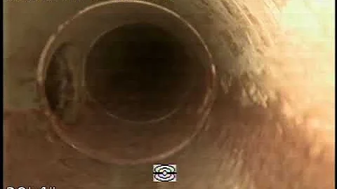2021 03 20 08 47 16