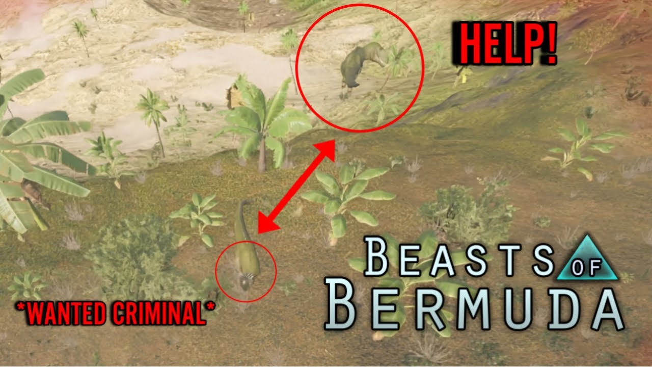 Pachy Punting In Beasts of Bermuda!