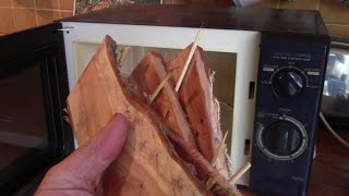 How To Dry Fresh Cut Timber In A Microwave Oven (Yew Wood)