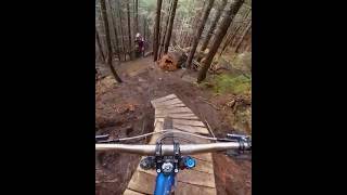 This New Trail Got Ridiculous