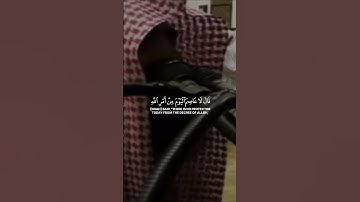[قَالَ سَـَٔاوِىٓ إِلَىٰ جَبَلٍۢ] محمد اللحيدان سورة هود Muhammad al Luhaidan Surah Hud #قرآن