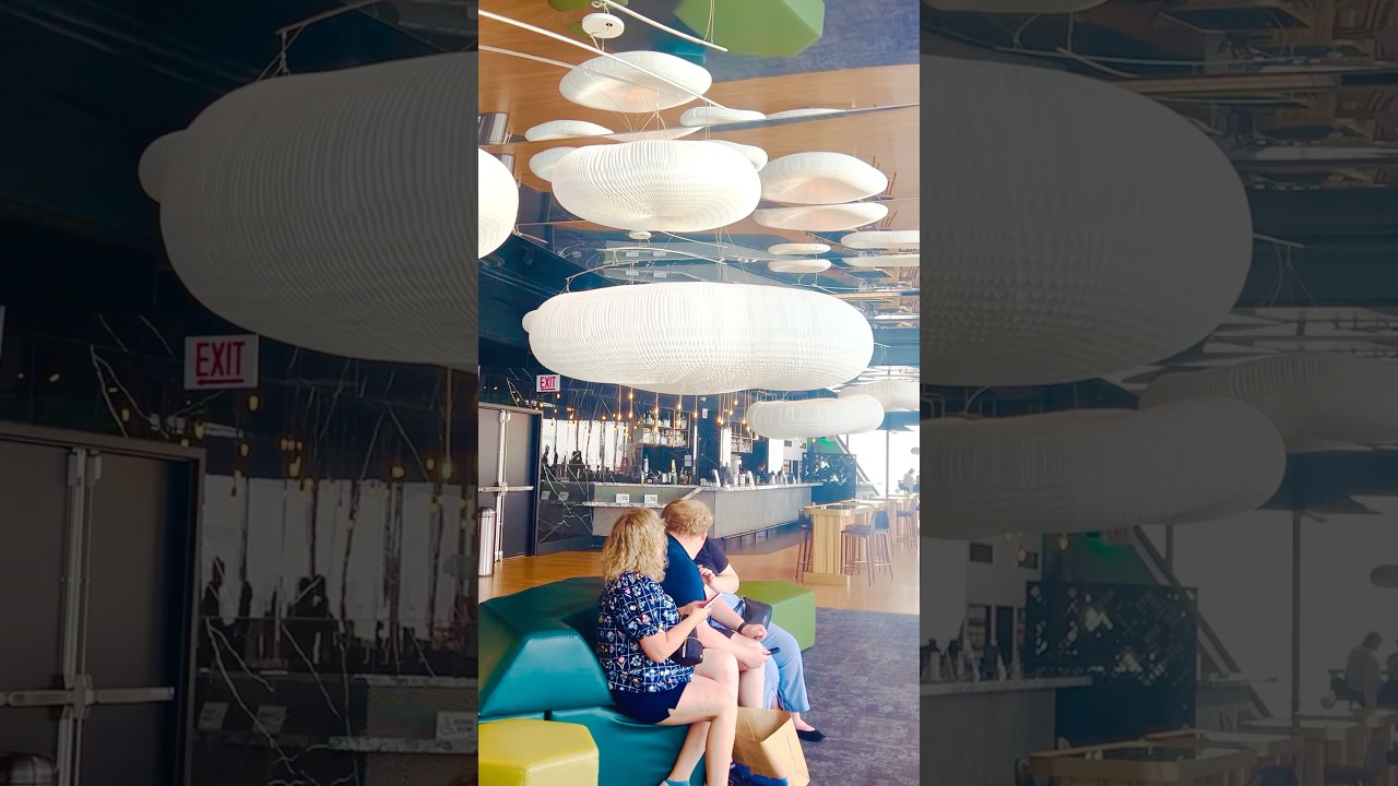 Stunning Views @360 Chicago skyline / Lake Michigan