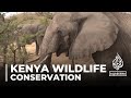 Kenya wildlife conservation living in harmony with wild neighbours