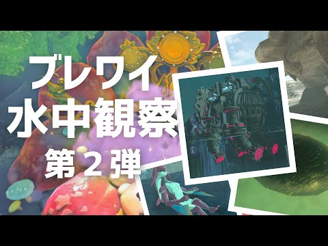 【ブレワイ水中観察】第２弾　怪しい場所を潜る　【ゼルダの伝説 ブレスオブザワイルド】