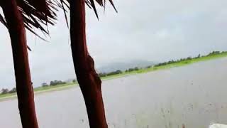 Download Lagu Seakan Kau Yang Paling Suci MP3