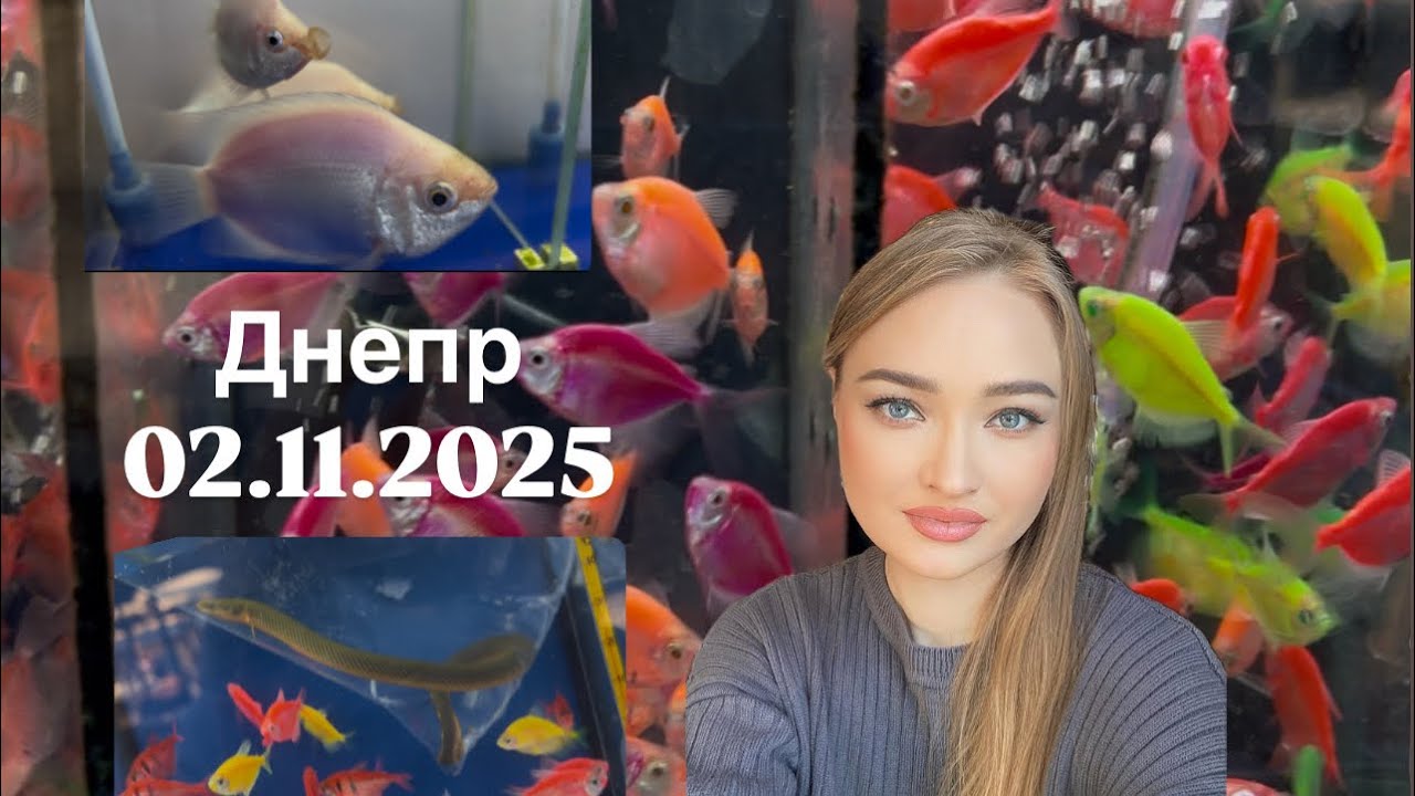 Зоорынок Днепр 02.11.2025 ( полный обзор) 