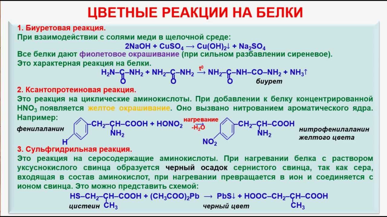 Амины гидролиз. Цветные качественные реакции на белки. Химические свойства белка химия цветные реакции. Качественные реакции на белки цветные реакции. Качественные реакции на белки и аминокислоты.