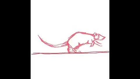 Simplistic Rat Animated- Run Cycle