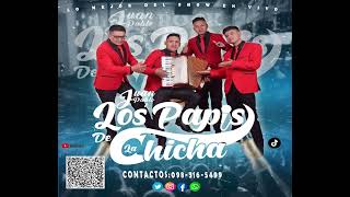 Juan Pablo y Los Papis De La Chicha  /Mosaico saltadito Cañari / (DRA) Audio Oficial en vivo.