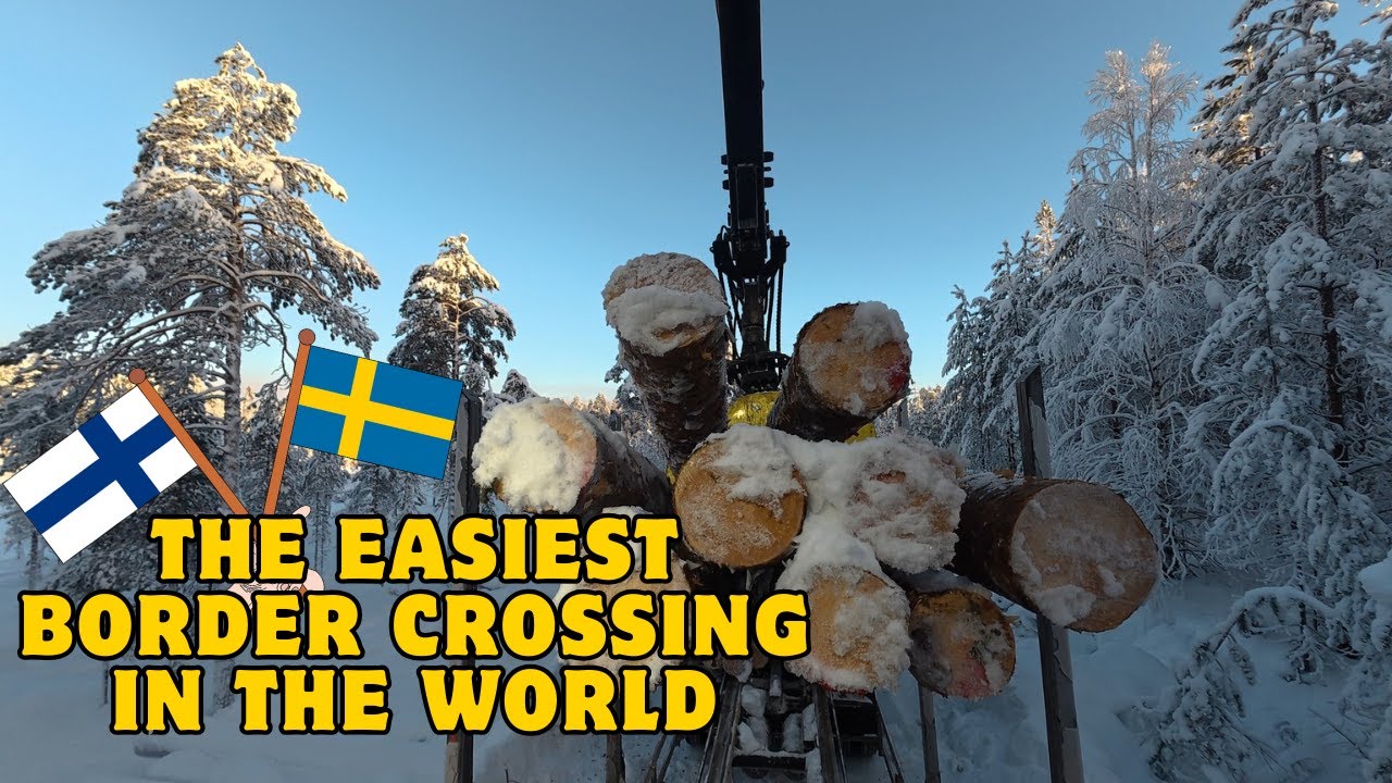 New Forest Road and Total Disaster