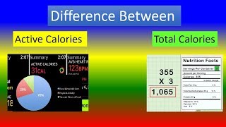 Difference Between Active Calories and Total Calories