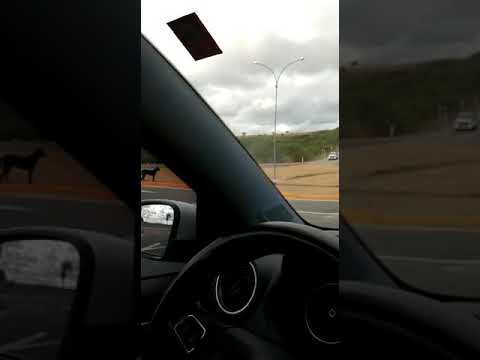 CARRETA TRAVA NA ROTATÓRIA DA MORTE EM BONFIM