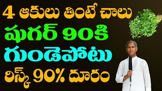 ఆకు లు 4 తింటే షుగర్ శాశ్వతంగా పోతుంది గుండెపోటు రిస్క్ 90% దూరం | Dr Manthena Satyanarayana Raju