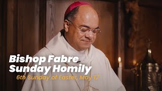 Homily from the 6th Sunday of Easter | Bishop Shelton Fabre