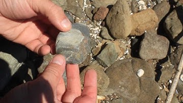 #8 Core & Muller -  Aboriginal Stone Tool