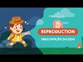 Understanding Vasectomy and Its Effects