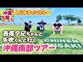 【西尾夕紀ちゃんと矢吹君と行く 沖縄南部ツアー】感謝祭ゲストの仲間たちと観光してきました♪「新原海底観光センター」・「知念岬公園」・「斎場御嶽」【南城市】