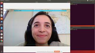 Analysing Sleep, Steps and Mood Correlation with Facial Recognition, Fitbit data and Flask App.