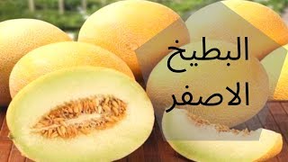 ما هي فوائد البطيخ الأصفر الشمام؟