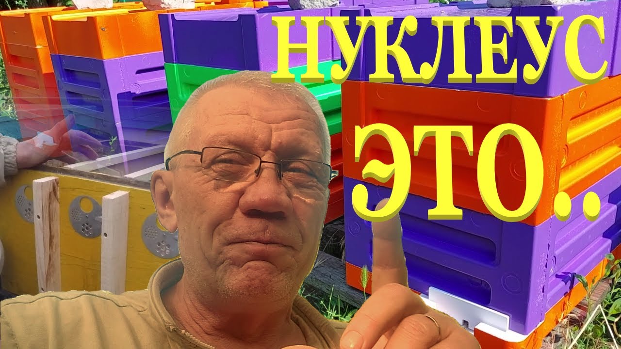 Нуклеус для пчел. ЛУЧШИЙ УЛЕЙ для НУКЛЕУСА!