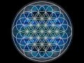 The Flower of Life Tessellated Waves Mandala #shorts