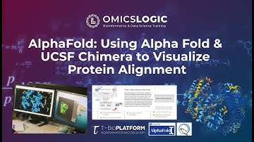 AlphaFold: Using Alpha Fold & UCSF Chimera to Visualize Protein Alignment - By Dr.Mohit