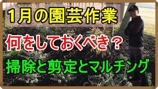 [ガーデニング] 園芸12ヵ月～1月の園芸作業(花壇のお手入れ編)～「キャリア29年のプロガーデナーが毎月行う園芸作業」