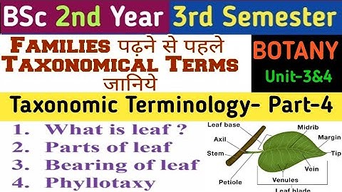 Taxonomic Terminology/Leaf/Leaf arrangements/Bearing of Leaf/Cauline and Ramal/Phyllotaxy/BSc 2 Year