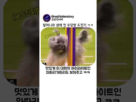할머니와 생애 첫 우당탕 도전기 thumbnail