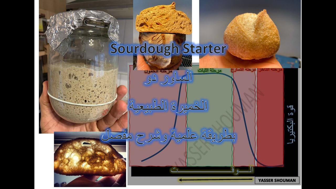 الساور دو Sourdough. شرح مفصل ومبسط وشامل عن الخميره الطبيعيه