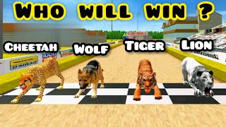 Lion vs Tiger vs Cheetah vs Wolf animal racing in HD best gameplay. screenshot 3