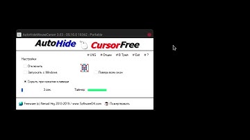 Auto Hide Mouse Cursor (Demonstration)