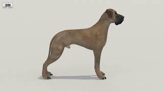 Great Dane Low Poly 3D model by 3DModels.org