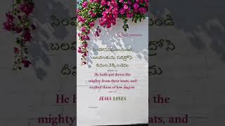 Today God promise #క్రిస్టియన్ #bibleverse #biblequote #jesusloves #🛐🙇✝️